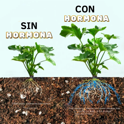 ✨ HORMONA Y FERTILIZANTE DE CRECIMIENTO🌿 (🌱 Tesoro Verde Activado 🌱)